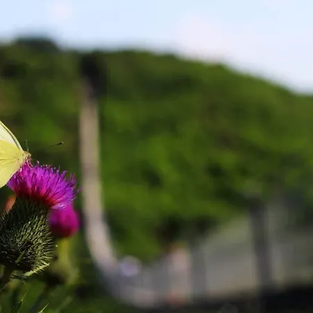 Fewo -Kleines Moselglueck- In Winningen Bei Koblenz Buitenkant foto