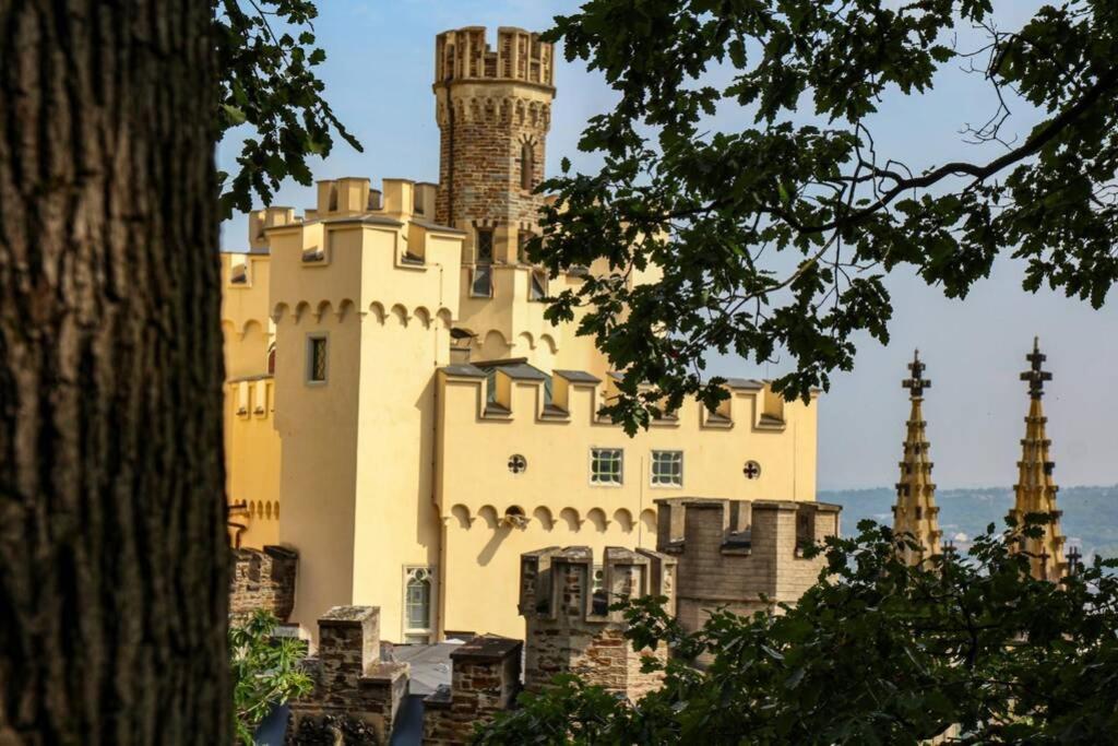 -kleines Moselglueck- In Bei Koblenz Apartment Winningen